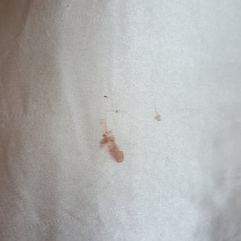 Peppermill Reno - Housekeeping did a terrible job. This is blood left on the pillow by the previous guests (I'm assuming, since it looked fresh). - Casinos Near Me - Reno, Nevada