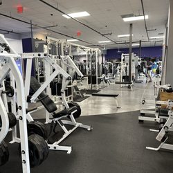 Anytime Fitness - Hammer strength