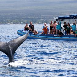 Blue Water Rafting