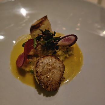 Potente - Scallops and butternut squash risotto- the favorite of the night! Also a split portion. - Italian Near Me - Houston, Texas Potente - Scallops and butternut squash risotto- the favorite of the night! Also a split portion. - Italian Near Me - Houston, Texas