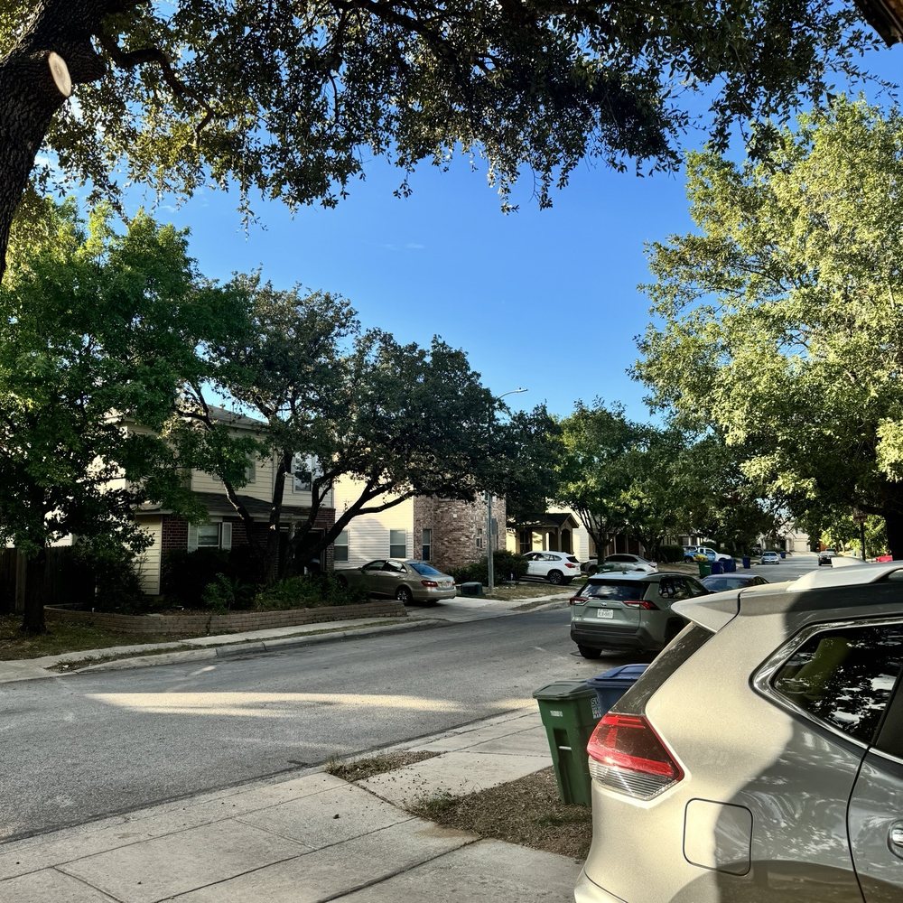 Metropolitan Tree Services - 1st tree after - Tree Services Near Me