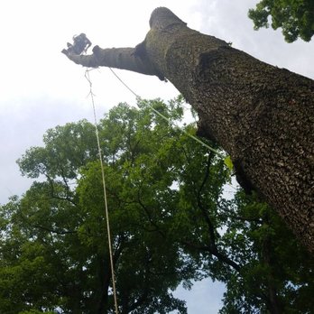 Clean Cut Landscape Services - Andrew in his office - Tree Services Near Me - Bridgewater, New Jersey Clean Cut Landscape Services - Andrew in his office - Tree Services Near Me - Bridgewater, New Jersey