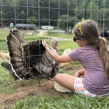 Cress Creeks Farm - Venues & Event Spaces Near Me - Ellijay, Georgia