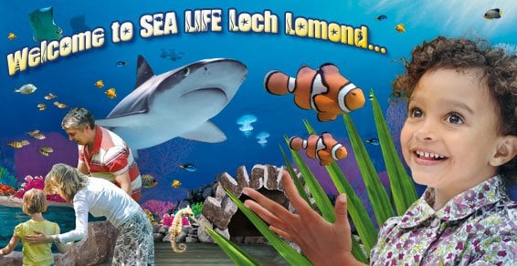 SEA LIFE Loch Lomond Aquarium by null