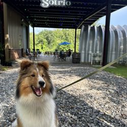 Sotrio Vineyards and Winery - Entrance to the brewery/winery