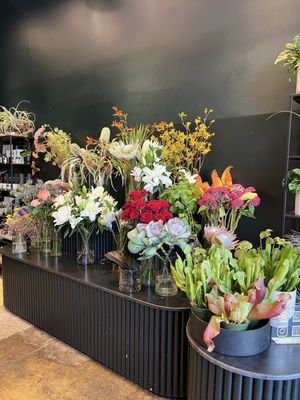 Gilly Flowers by null
