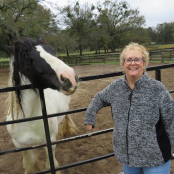 Gypsy Gold Horse Farm - GG Taylor Burton and this writer (Janis) - Walking Tours Near Me - Ocala, Florida Gypsy Gold Horse Farm - GG Taylor Burton and this writer (Janis) - Walking Tours Near Me - Ocala, Florida
