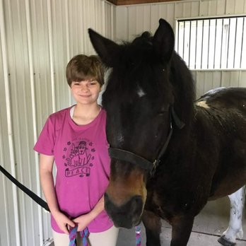 Grosse Pointe Equestrian - Henry - Horseback Riding Near Me - Grosse Pointe, Michigan Grosse Pointe Equestrian - Henry - Horseback Riding Near Me - Grosse Pointe, Michigan