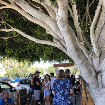 Fig Tree Cafe - Sandwiches Near Me - Pacific Beach, California