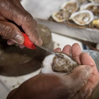 Bentonia Bugs - a person peeling a shell of oyster - Seafood Near Me - Bentonia, Mississippi