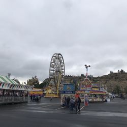 Montana Fair