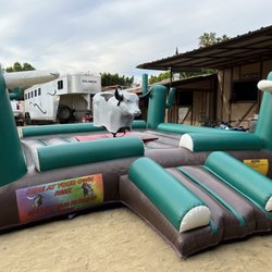 Party 360 - Bull
