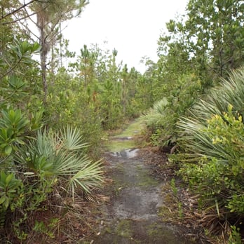 Kiplinger Nature Preserve Park - Parks Near Me - Stuart, Florida Kiplinger Nature Preserve Park - Parks Near Me - Stuart, Florida