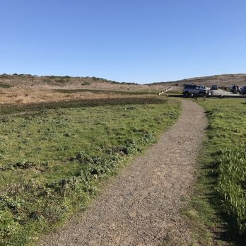 Sonoma Coast State Beach - The cutest trail! - Parks Near Me - Bodega Bay, California Sonoma Coast State Beach - The cutest trail! - Parks Near Me - Bodega Bay, California