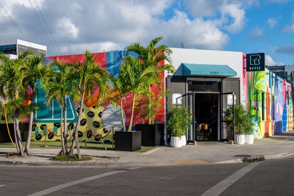 R House Wynwood by null
