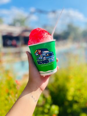 Six Flags Fiesta Texas by null