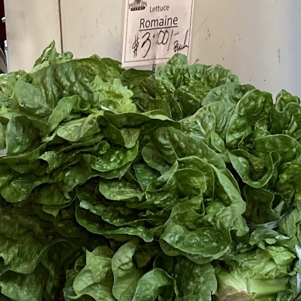 Phillips Farms - 10/30/22 - Farmers Market Near Me - Milford, New Jersey Phillips Farms - 10/30/22 - Farmers Market Near Me - Milford, New Jersey
