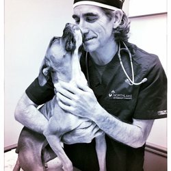Atlanta Boxer Rescue