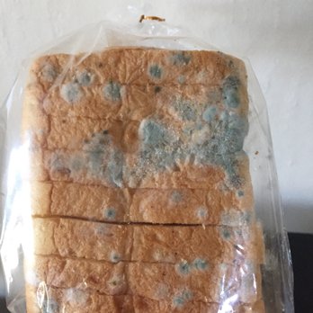 H Mart - Bakery bread molded in only two days after purchasing. - International Grocery Near Me - Portland, Oregon