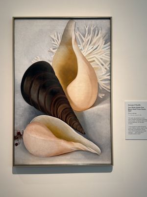 Georgia O'Keeffe Museum by null Georgia O'Keeffe Museum by null
