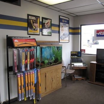 SAF-T Auto Centers - Fish Tank Auto Repair Shop Wallingford CT - Auto Repair Near Me - Wallingford, Connecticut SAF-T Auto Centers - Fish Tank Auto Repair Shop Wallingford CT - Auto Repair Near Me - Wallingford, Connecticut