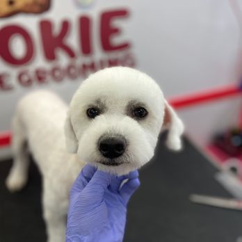 Cookie Mobile Grooming - Pet Groomers Near Me Cookie Mobile Grooming - Pet Groomers Near Me
