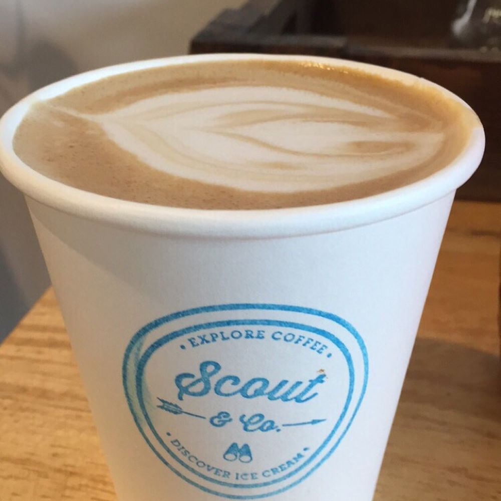 Scout - Coffee & Tea Near Me - Burlington, Vermont Scout - Coffee & Tea Near Me - Burlington, Vermont