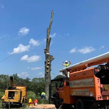 Brown Hound Tree Service - Tree Services Near Me - Roanoke, Virginia