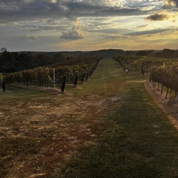 Montaluce Winery & Restaurant - Venues & Event Spaces Near Me - Dahlonega, Georgia Montaluce Winery & Restaurant - Venues & Event Spaces Near Me - Dahlonega, Georgia