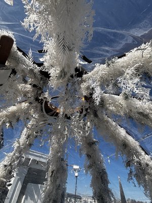 The Coast Guard House Restaurant by null