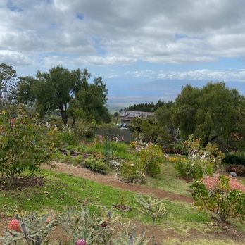 Ali'i Kula Lavender - Views for days - Tours Near Me - Kula, Hawaii Ali'i Kula Lavender - Views for days - Tours Near Me - Kula, Hawaii