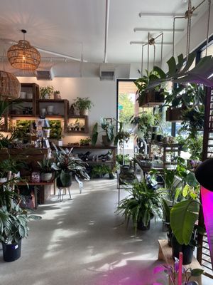 Botanical Bakeshop by null