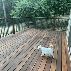 American Eagle Painting - My dog even made an appearance.