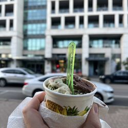 Chestnuts Cafe