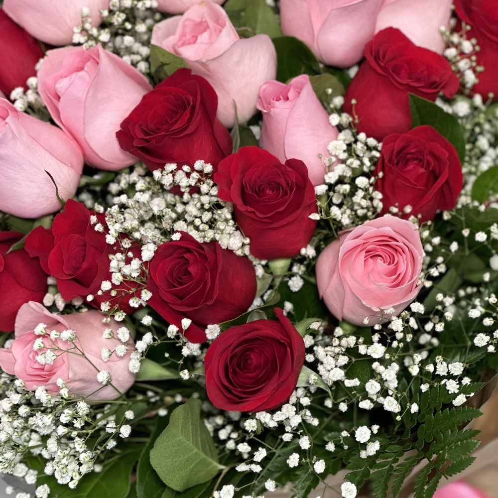 Red & Pink Roses Red & Pink Roses