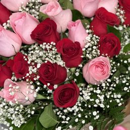 Red & Pink Roses