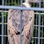 Photo of Wild- & Freizeitpark Klotten
