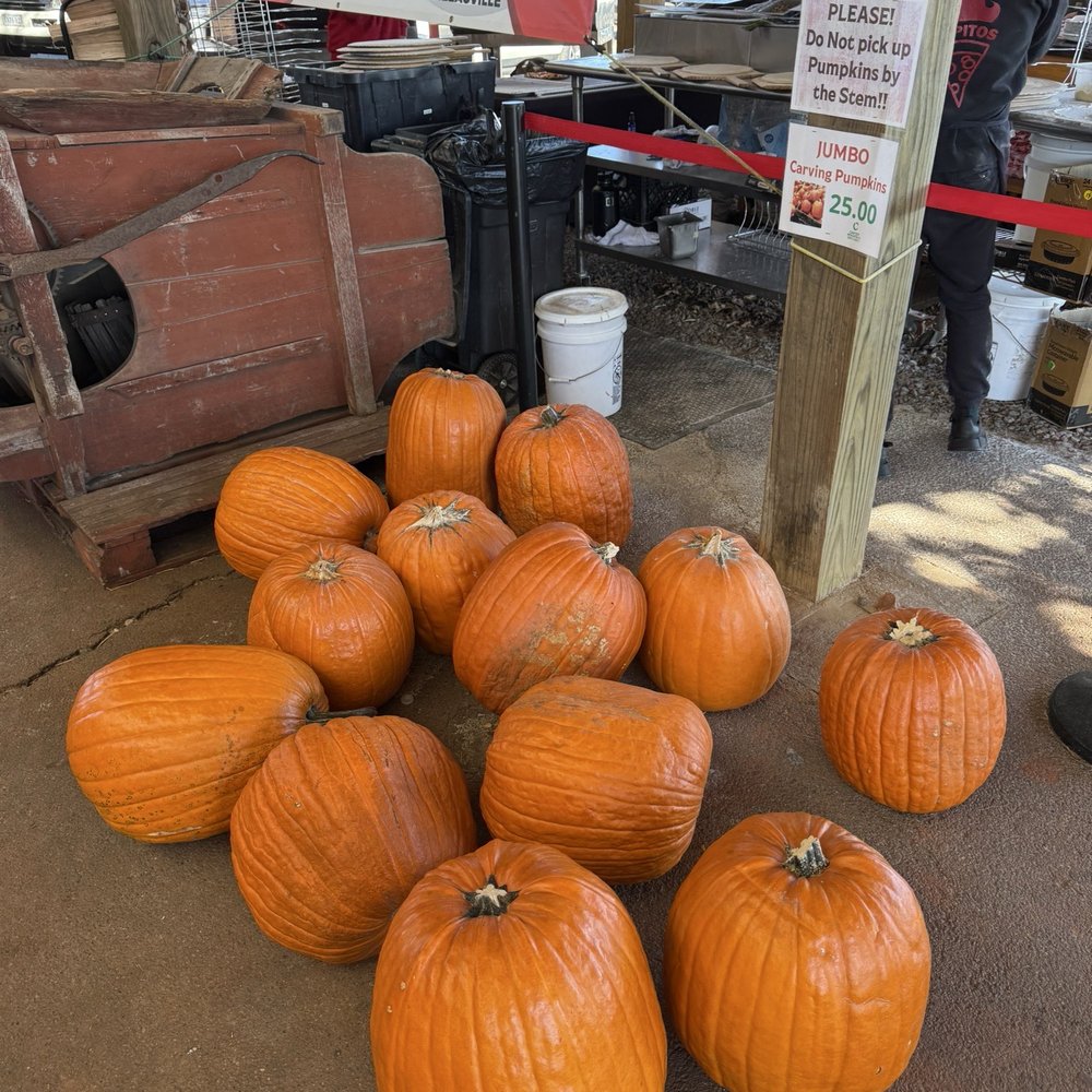 Carter Mountain Orchard - Pumpkins - Pick Your Own Farms Near Me - Charlottesville, Virginia Carter Mountain Orchard - Pumpkins - Pick Your Own Farms Near Me - Charlottesville, Virginia