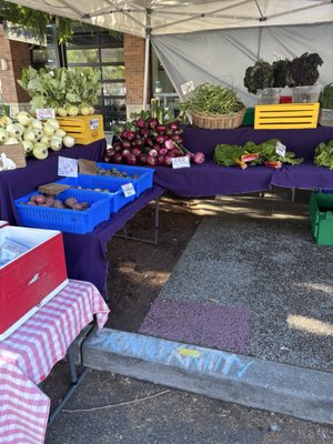 Queen Anne Farmers Market by null