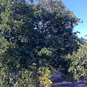 Eagle Lake Park - Parks Near Me - Largo, Florida Eagle Lake Park - Parks Near Me - Largo, Florida