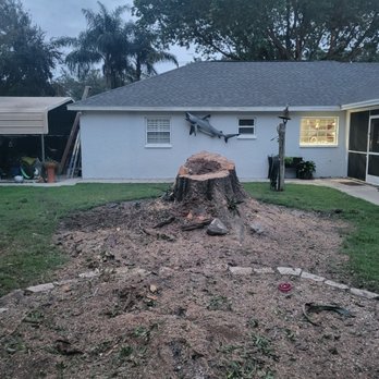 Swanson's Landscape Services - Stump grinding - Lawn Services Near Me - Tampa, Florida Swanson's Landscape Services - Stump grinding - Lawn Services Near Me - Tampa, Florida
