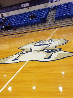 St. Francis College by null