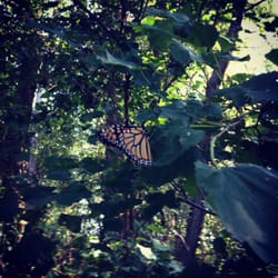 LaBenite Park - Found a friend while on the trail.