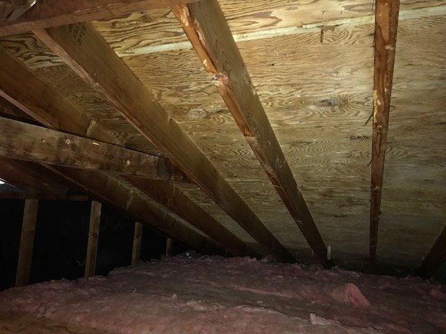 Mold Extraction NEPA - mold inspector in Tunkhannock, PA