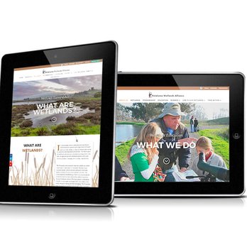 Tim Fleming Web Design - Let us help you tell your story. Attract more attention and generate more traffic to your website. - Web Design Near Me - Petaluma, California Tim Fleming Web Design - Let us help you tell your story. Attract more attention and generate more traffic to your website. - Web Design Near Me - Petaluma, California