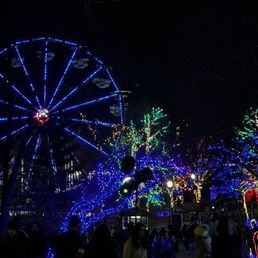 Ferris wheel ride.