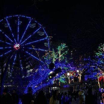 Zoolights - Ferris wheel ride. - Local Flavor Near Me - Chicago, Illinois