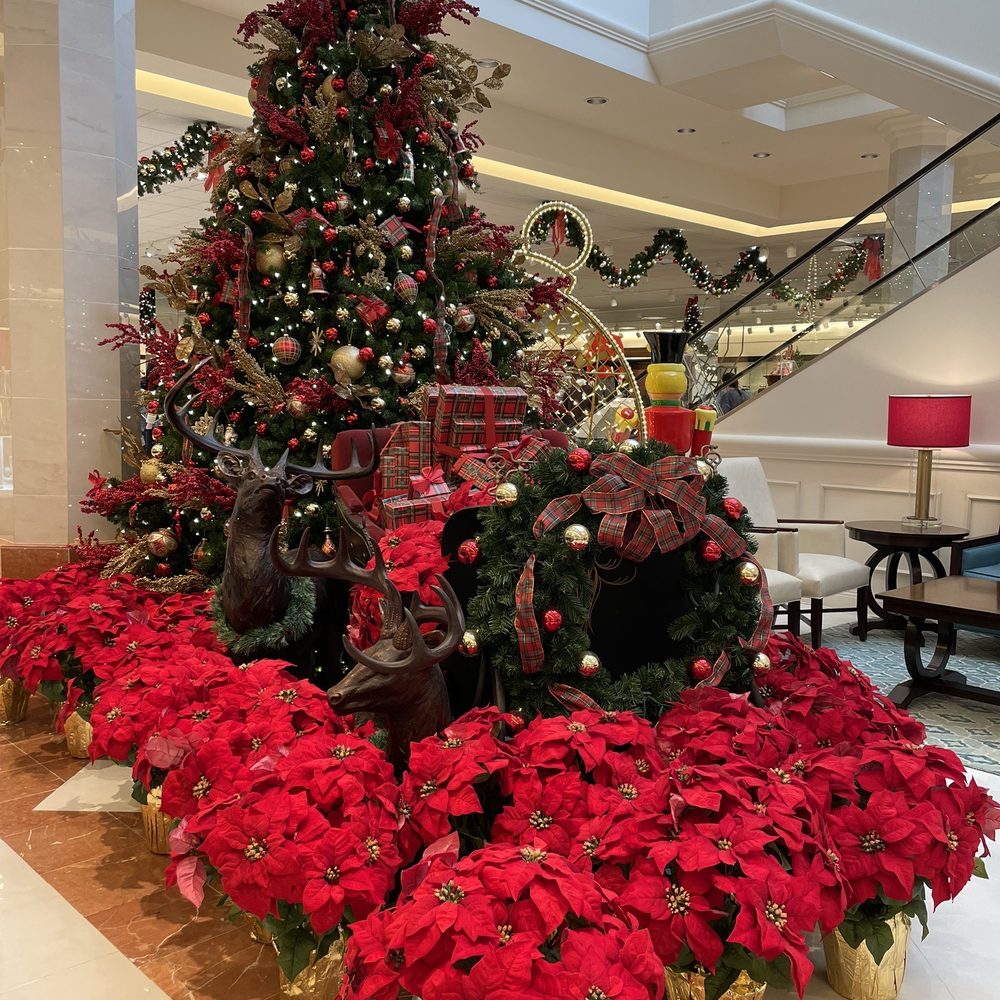 Festive 2023 Festive 2023