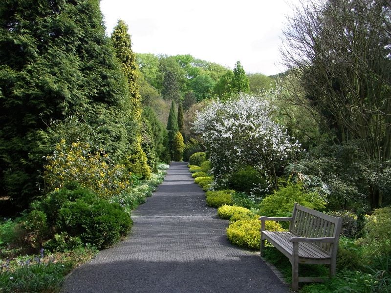 Stiftung Arboretum Park Härle