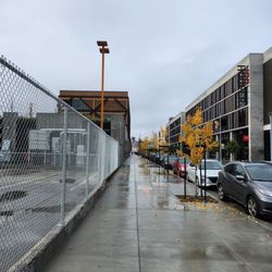 California College of the Arts - The cage they dont want you to see